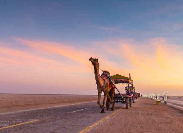 Professional event setup in Kutch